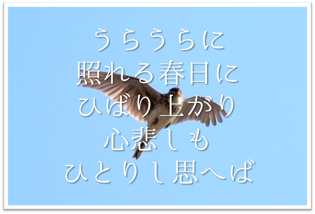 うらうらに照れる春日にひばり上がり心悲しもひとりし思へば 徹底