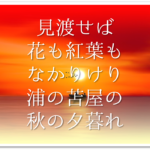 【駒とめて袖うちはらふかげもなし佐野のわたりの雪の夕暮れ】徹底解説!!意味や表現技法･句切れなど