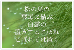 【松の葉の葉毎に結ぶ白露の置きてはこぼれこぼれては置く】徹底解説!!意味や表現技法･句切れ･鑑賞文など
