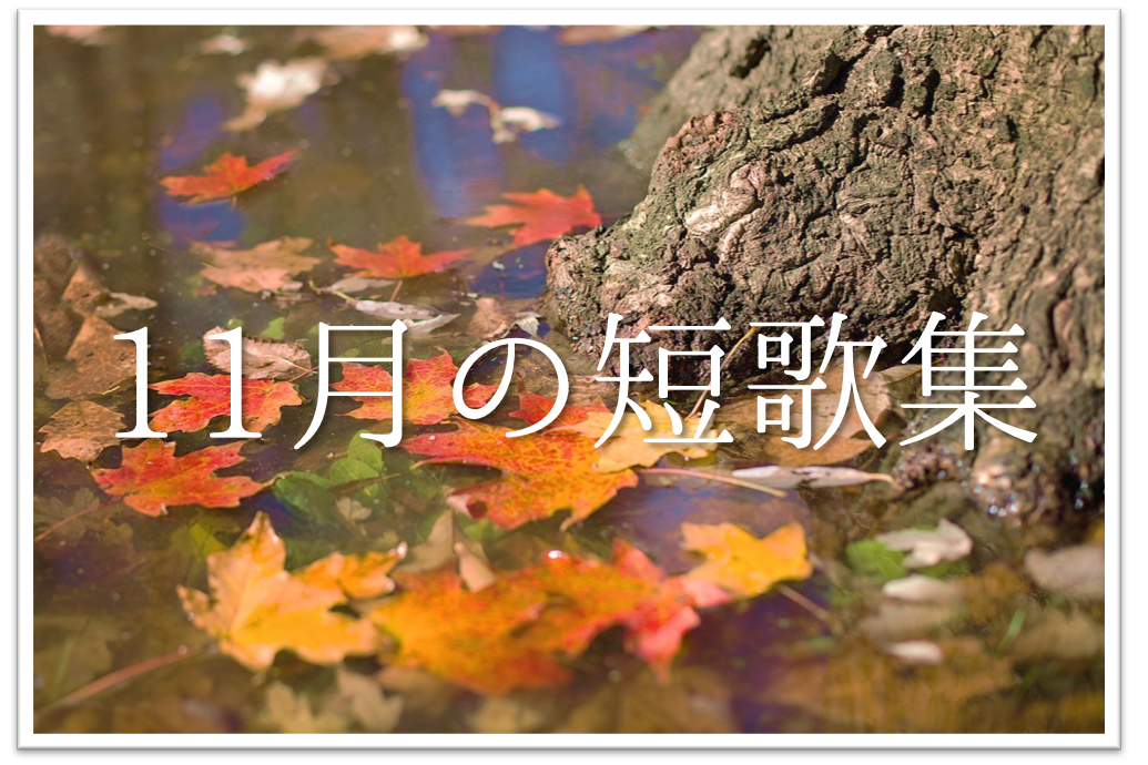 11月の短歌 和歌 集 選 おすすめ 知っておきたい11月