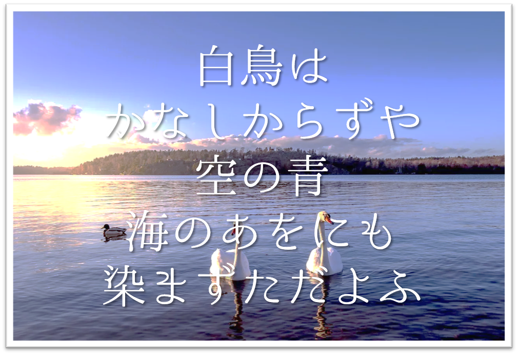 白鳥はかなしからずや空の青海のあをにも染まずただよふ 徹底解説 意味や表現技法 句切れなど 短歌の教科書 短歌の作り方 有名短歌の解説サイト