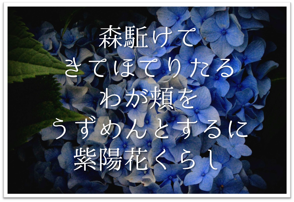 森駈けてきてほてりたるわが頬をうずめんとするに紫陽花くらし 徹底解説 意味や表現技法 句切れなど 短歌の教科書 短歌の作り方 有名短歌の解説サイト