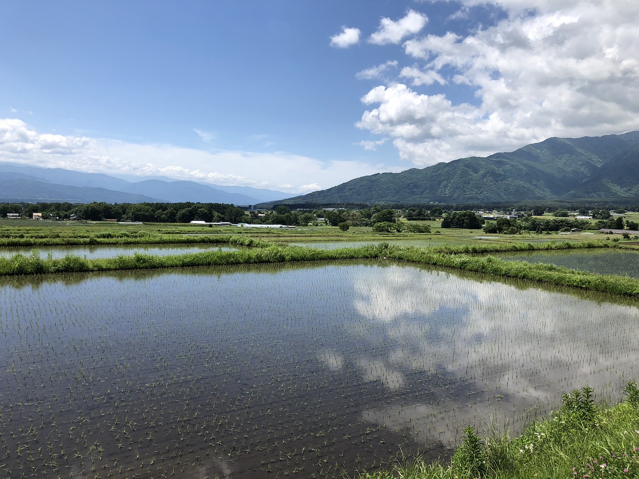 死に近き母に添寝のしんしんと遠田のかはづ天に聞ゆる 徹底解説 意味や表現技法 句切れ 鑑賞文など