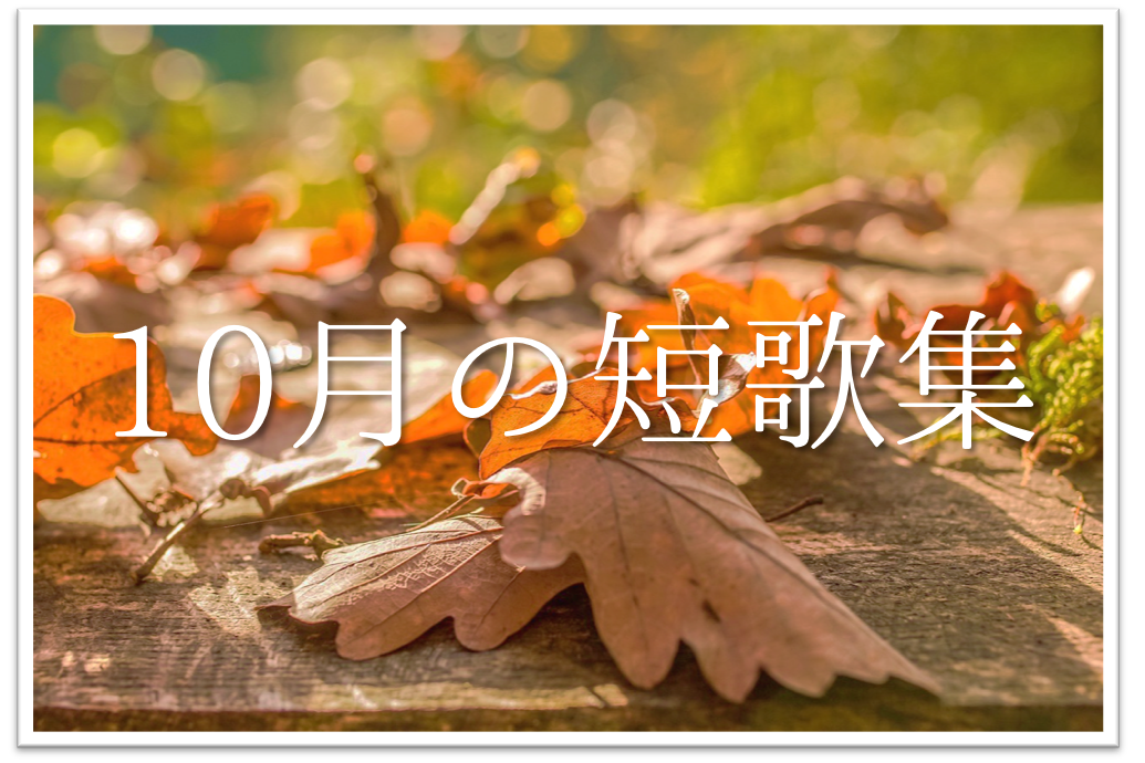 【10月の短歌(和歌)集 20選】秋を感じる!!知っておきたいおすすめ有名作品を紹介！
