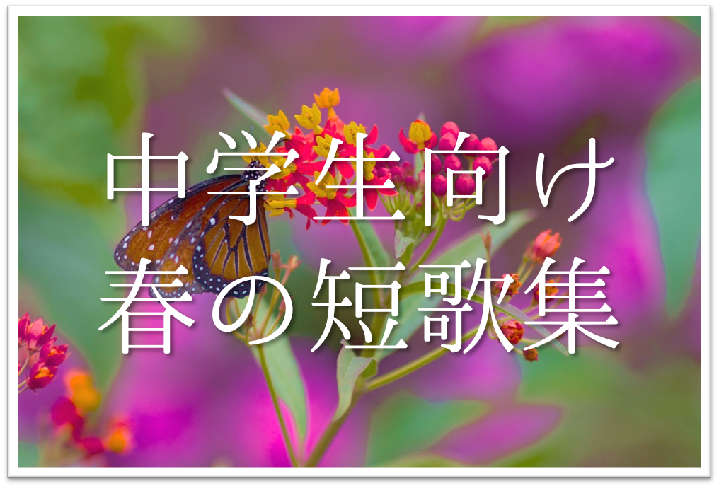 【中学生向け春の短歌 20選】おすすめ!!春の季語をふらしい短歌作品を紹介！