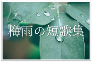 【梅雨の短歌20選】おすすめ!!梅雨を感じる有名短歌＆素人作品集を紹介！
