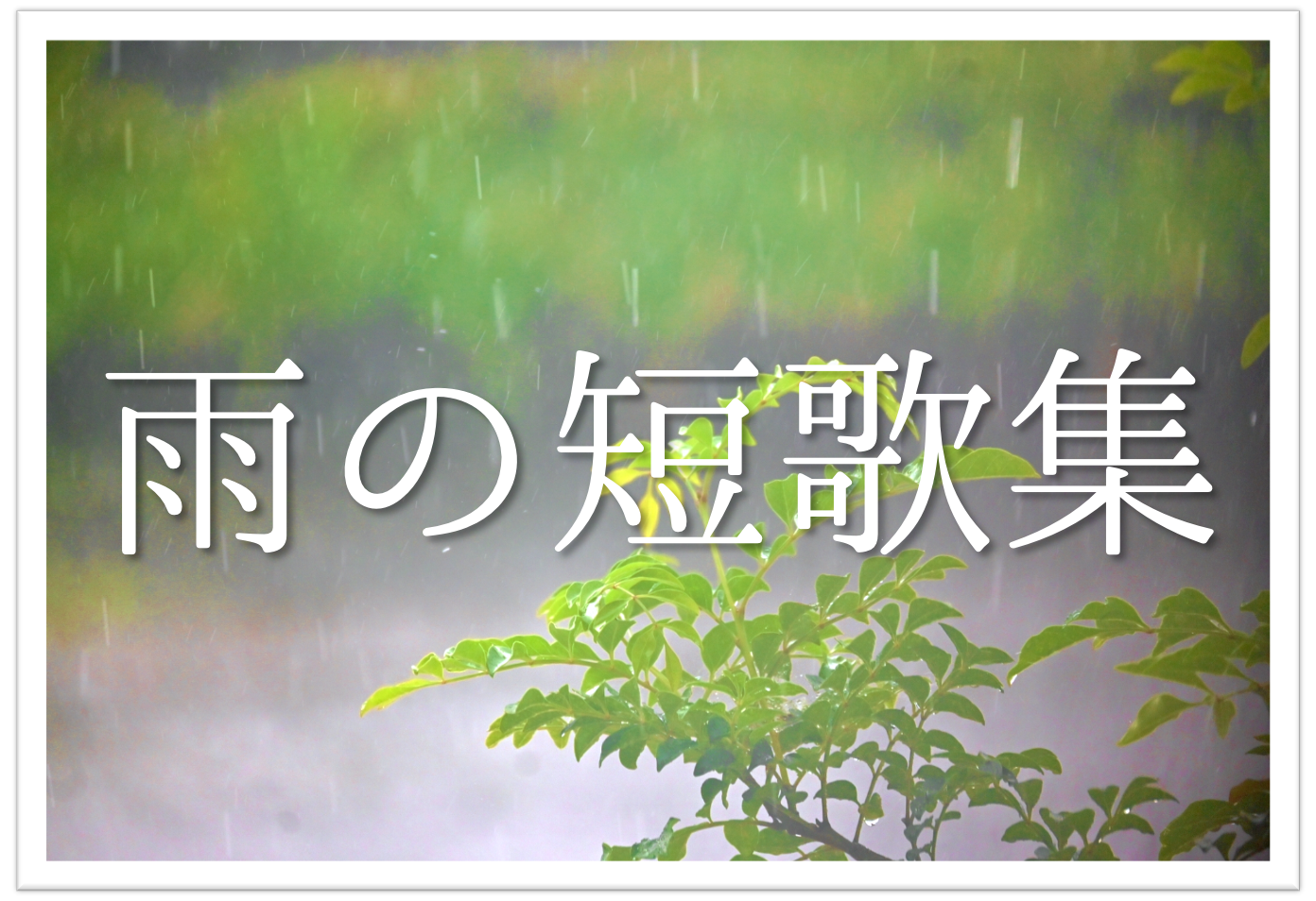 雨を題材にした短歌 選 知っておきたい 季語を含む有名短歌 素人短歌を紹介 短歌の教科書 短歌の作り方 有名短歌の解説サイト