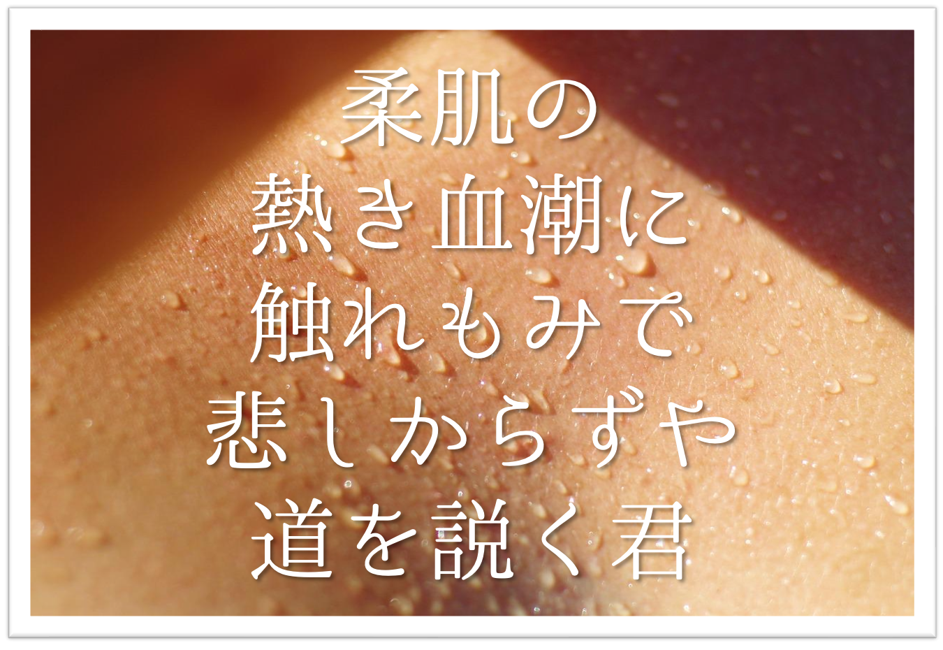 柔肌の熱き血潮に触れもみで悲しからずや道を説く君 徹底解説 意味や表現技法 句切れ 鑑賞文など 短歌の教科書 短歌の作り方 有名短歌の解説サイト