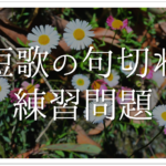 【短歌の句切れとは】簡単に分かりやすく解説!!意味や種類・見分け方など