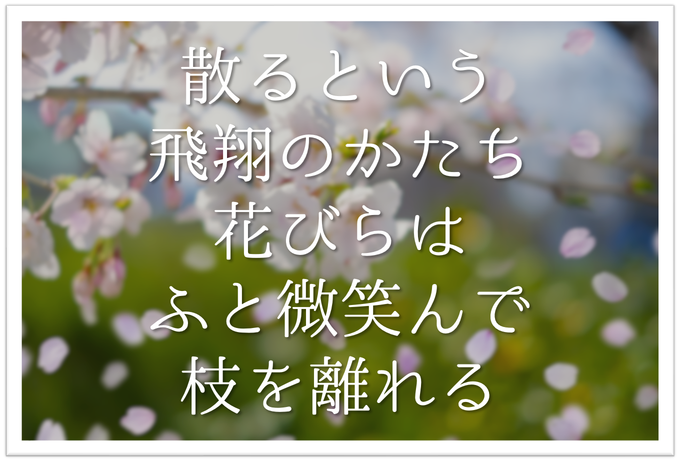 散るという飛翔のかたち花びらはふと微笑んで枝を離れる 徹底解説 意味や表現技法 句切れ 鑑賞文など 短歌の教科書 短歌の作り方 有名短歌の解説サイト