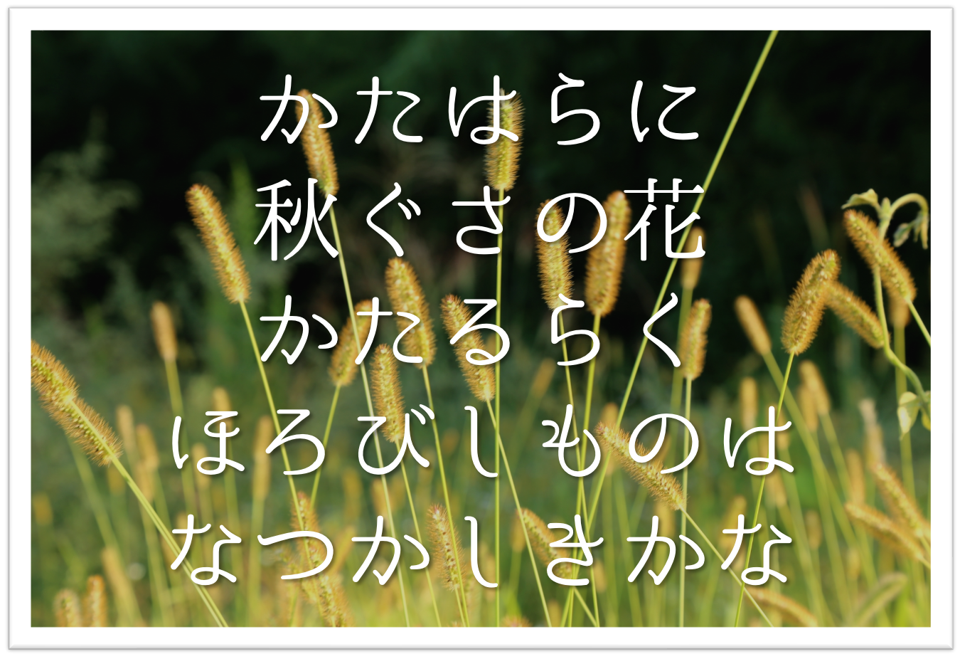 かたはらに秋ぐさの花かたるらくほろびしものはなつかしきかな 徹底解説 意味や表現技法 句切れなど 短歌の教科書 短歌の作り方 有名短歌の解説サイト