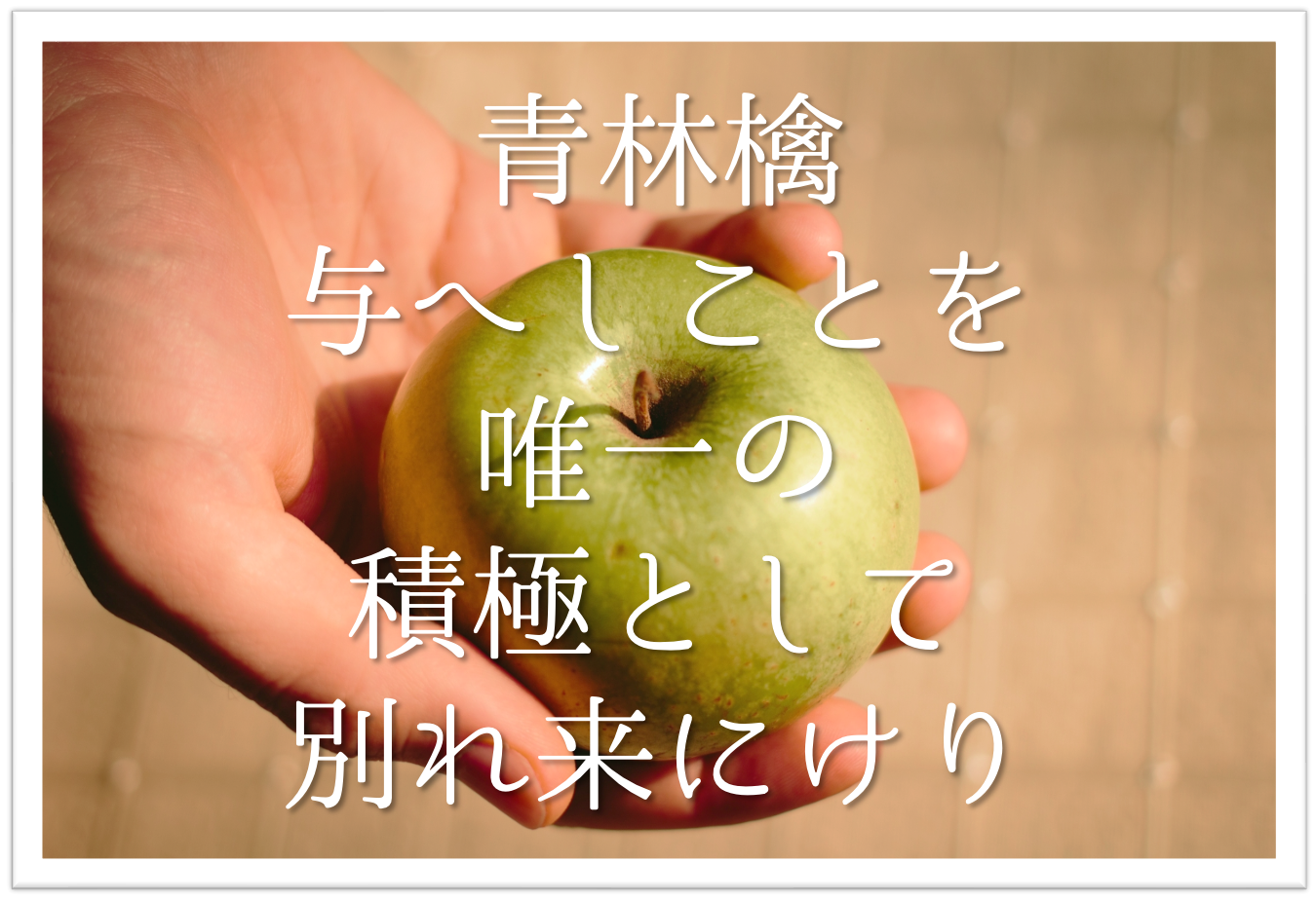 青林檎与へしことを唯一の積極として別れ来にけり 徹底解説 意味や表現技法 句切れ 鑑賞文など 短歌の教科書 短歌の作り方 有名短歌の解説サイト