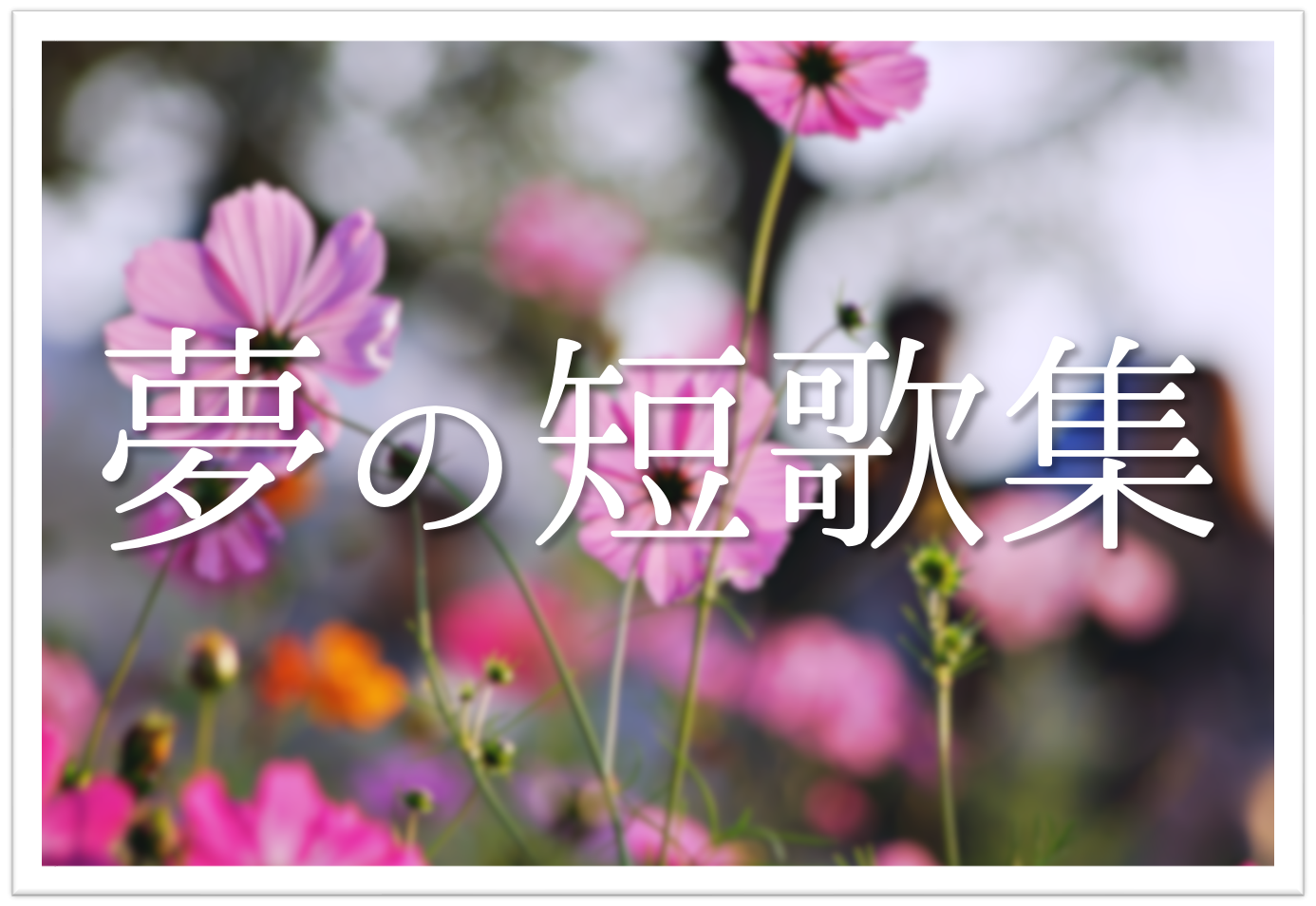 夢を題材にした短歌 選 好きな人の夢 あるある 有名短歌 学生向け一般短歌を紹介 短歌の教科書 短歌の作り方 有名短歌の解説サイト