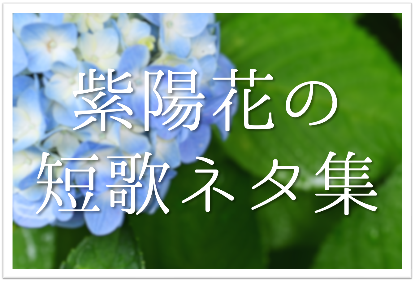 紫陽花おすすめ短歌集 選 季節感を感じる 有名短歌 一般短歌を紹介 短歌の教科書 短歌の作り方 有名短歌の解説サイト